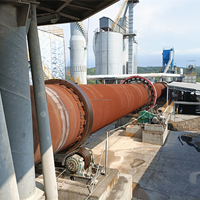 Incinérateur de prix d'usine 50 w 200ips, escalade de calfeutrage, four rotatif, ciment avec charbon ou huile