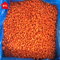 IQF Diepvries Zeebuckthorn Fruit, 100% Natuurlijk & Verfrissend, Bulkverpakking, Premium Kwaliteit, 10kg