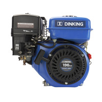 Dinking Kleiner Benzinmotor 168F Tragbarer Mini-4-Takt-OHV-Motor für Generator, Pumpe, Maschinen, LL-DK168F/P-1