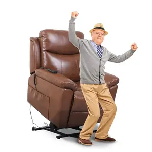 Geeksofa Modern Design ZOY Power Lift Single Recliner Living Room Fashion Avocado Reclinable Feature Lift Chair For The Elderly