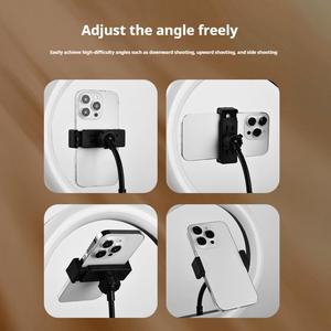 Anneau lumineux LED de 8 pouces avec support flexible pour téléphone, idéal pour TikTok, diffusion en direct, vidéo et maquillage - Product Image 2