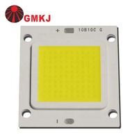 Muestras Gratis de Diodos LED COB Flip Chip 4046 de 10w 20w 30w 40w 50w 60w 80w 100w de Color Blanco