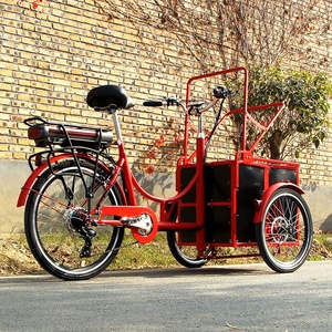 Nouveau modèle 2026 : Tricycle électrique <span class=keywords><strong>mini</strong></span>-cargo populaire en Europe pour chiens et enfants - Product Image 2