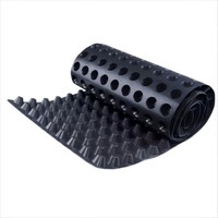 Planche de drainage tunnel 3D en géocomposite avec noyau en PEHD et couche filtrante en géotextile non tissé pour la décharge des eaux souterraines sous haute charge