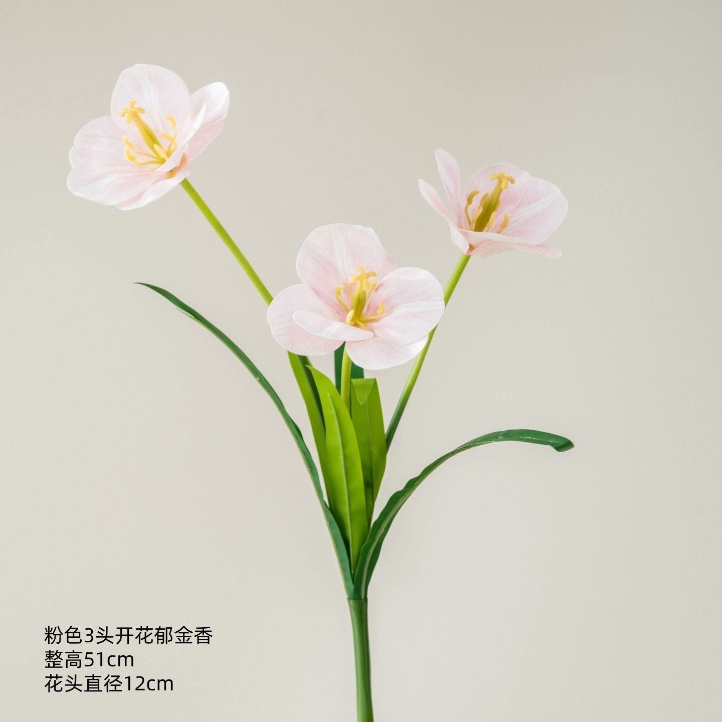 Tulipe rose à trois têtes