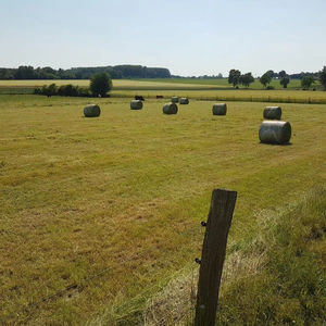 Màu trắng <span class=keywords><strong>HDPE</strong></span> trang trại ngựa hay Bale Feeder Net Bale Net bọc baling Net - Product Image 1