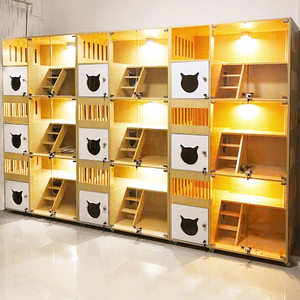 Современная клетка для кошек из массива дерева, роскошный кошачий домик с большой стеклянной дверью, многофункциональная вилла для демонстрации и содержания в зимнее время - Product Image 3