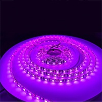 Nouvelle tendance commerciale SMD 2835 IP20/IP65 UVA 390nm-400nm bande lumineuse violette pour fond d'ordinateur TV bande lumineuse LED