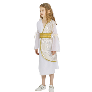 Costume da <span class=keywords><strong>Toga</strong></span> Greca per Halloween, Set da 2 Pezzi, Abito da Principessa Romana con Corona Dorata e Ghirlanda di Foglie - Product Image 6