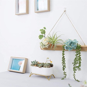 <span class=keywords><strong>Maceta</strong></span> Moderna Minimalista de Porcelana para Flores, Cactus, Plantas Artificiales, Contenedores para Ventanas, Decoración para Escritorio y Ventanas - Product Image 2