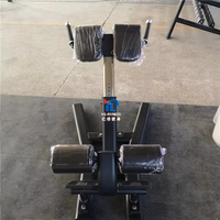 Banc d'extension commercial pour chaise de fitness, idéal pour l'entraînement de force, équipement de gym en métal durable