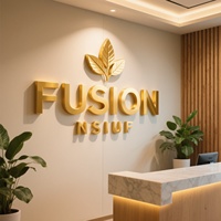 Enseigne Murale 3D Personnalisée pour Entreprise, Logo en Acier Inoxydable Doré, Enseigne Publicitaire LED Étanche IP65 pour Façade de Magasin, Bureau, Voiture et Parking
