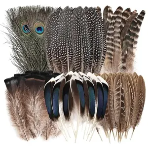 40/48Pcs Plumes teintées naturelles assorties en vrac 6 Styles Grandes Plumes mélangées Motif Long Plumage de <span class=keywords><strong>Faisan</strong></span> - Product Image 1
