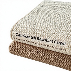 Tapis d'entrée en polyester, style moderne et épuré, pour salon, chambre, fenêtre en baie, et griffoir pour <span class=keywords><strong>chat</strong></span> - Product Image 1