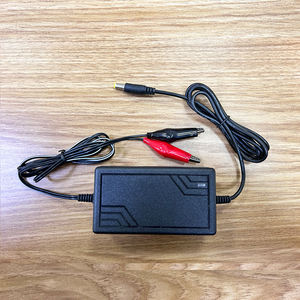 12V 1A 2A 3A 4A 5A elektrikli bisiklet şarj ile aşırı gerilim koruma kurşun asit pil şarj cihazı timsah klip ile - Product Image 4