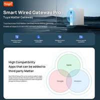 Passerelle Domotique Intelligente Matter Tuya avec Câble, Hub Bridge Protocole Zigbee Thread, Compatible Alexa Google Home HomeKit