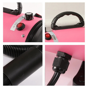 Sèche-cheveux professionnel pour animaux de compagnie, 2200W, rechargeable, écologique, pour chiens et chats, vitesse du vent élevée de 120 m/s, ionisation négative progressive, toilettage - Product Image 2