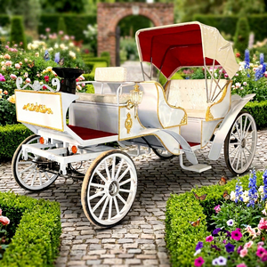Carruaje Eléctrico Turístico Cubierto, Carruaje Real de Calabaza para Venta, Ideal para Bodas y Fiestas en Parques - Product Image 1