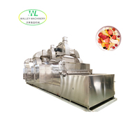 Machine de séchage à convoyeur à bande de Chine avec PLC et moteur 63,75 kW pour abricots, pruneaux, prunes, poivrons noirs