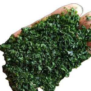 Venta al por mayor algas Ulva escamas secas <span class=keywords><strong>AOSA</strong></span> Aonori - Product Image 1