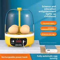Incubateur d'œufs de poule entièrement automatique, mini incubateur domestique intelligent, alimentation USB, modèle éducatif scientifique
