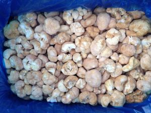 פטריות מחיר של מיובש פום פום פטריות - Product Image 5