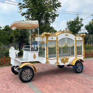 Carroza Fúnebre Eléctrica Tipo Limusina para Ceremonias Funerarias en Europa, Carroza Fúnebre a Caballo en Venta - Product Image 2