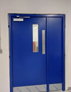 Porte coupe-feu en acier de qualité supérieure pour hôpitaux, écoles, hôtels et bâtiments publics disponible à prix réduit - Product Image 3