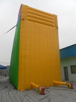Glissière d'eau gonflable de thème de dessin animé conçoivent la surface antidérapante de qualité commerciale de glissière d'éclaboussure de PVC de terrain de jeu d'enfants