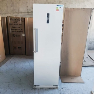 Congelador vertical de 300L con puerta lateral, de una sola puerta, solo refrigerador de pie con congelador - Product Image 1