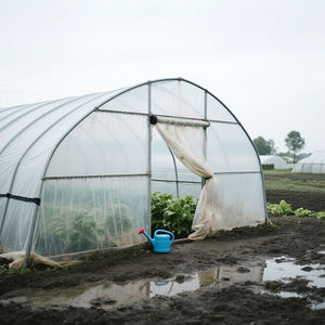 वेंटिलेशन सिंचाई प्रणाली और सौर के साथ वाणिज्यिक एकल-अवधि कृषि दीर्घवृत्त ट्यूब ग्रीनहाउस - Product Image 3