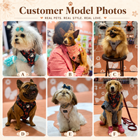 Ensemble Harnais Chien OKEYPETS Luxe Personnalisé Réglable avec Laisse, Collier, Sac à Déjections, Bandana Réversible en Néoprène Respirant pour Chiot