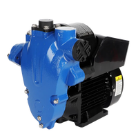 220V 60Hz Offre Spéciale électrique TW pompes auto-amorçantes pompe automatique pompe à eau d'aspiration automatique