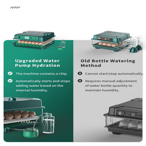 Cung cấp điện kép lồng ấp trứng Máy ấp trứng hoàn toàn tự động công suất 130 gà lồng ấp trứng - Product Image 2