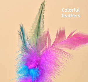 Tüy kedi oyuncak Pet ürünleri ile EVA köpük topu kedi gökkuşağı tüy topu oyuncak - Product Image 4