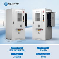 Système de stockage d'énergie commercial Sakete 241 kWh 215 kWh, armoire ESS extérieure, onduleur hybride 125 kW avec batterie LiFePO4 pour l'UE
