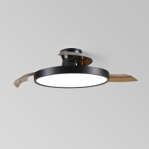 Kit d'entrepôt commercial de luxe à enroulement invisible de <span class=keywords><strong>lustre</strong></span> à distance dans la lumière de ventilateur de plafond de silence de <span class=keywords><strong>ventilation</strong></span> - Product Image 5
