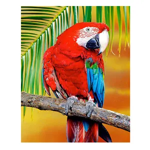 Die meist verkaufte 5d Diamant Kristall malerei Diy The Animal Series Roter Papagei mit geneigtem Kopf dekorative Wand kunst