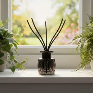 Bouteilles rectangulaires premium Monsiuer <span class=keywords><strong>Bodum</strong></span> Cork Night High Giant Crimp Grain 8oz Apothecary 4mmx300mm pour diffuseur à bâtonnets - Product Image 1