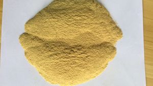 Extracto de Raíz de Kava <span class=keywords><strong>Kavakava</strong></span> al por Mayor, en Polvo, 10% 30%, Grado Alimenticio, con Envases en Botella, Tambor, Lata y Tarro Mason - Product Image 4