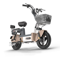 Vélo Électrique Urbain Adulte 14 Pouces Dernier Modèle en Gros, Moteur Brushless Haute Vitesse 48V, Cadre en Acier Inoxydable, Batterie au Plomb