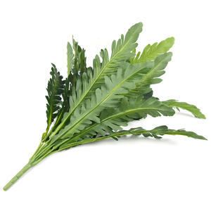 Fougère artificielle <span class=keywords><strong>en</strong></span> forme de nid d'oiseau, 18 têtes, 50 cm, plante <span class=keywords><strong>en</strong></span> pot pour décoration murale intérieure et extérieure, fausse verdure - Product Image 2