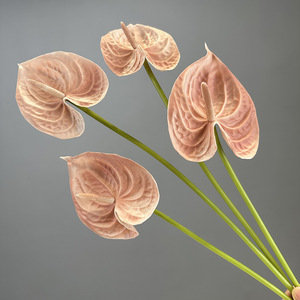 Flor <span class=keywords><strong>Artificial</strong></span> 3D Anthurium Pu Feel Flamingo Pequeña Palma Blanca Guanyin Lotus Flor Falsa Decoración del Hogar Accesorios de Boda-149 - Product Image 6