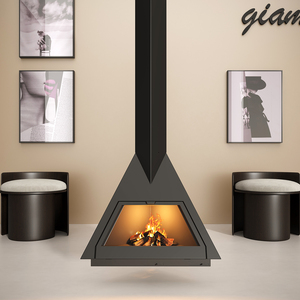 Cheminée suspendue moderne à flamme réelle, verre transparent, chauffage de villa, poêle à <span class=keywords><strong>bois</strong></span> autoportant, <span class=keywords><strong>insert</strong></span> en plaque d'acier - Product Image 4