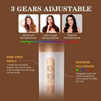 Dropshipping Livraison Rapide Brosse Sèche-Cheveux Coiffant Fer à Friser à Air Chaud 1400W Multifonctionnel Multi-Coiffeur 7-en-1
