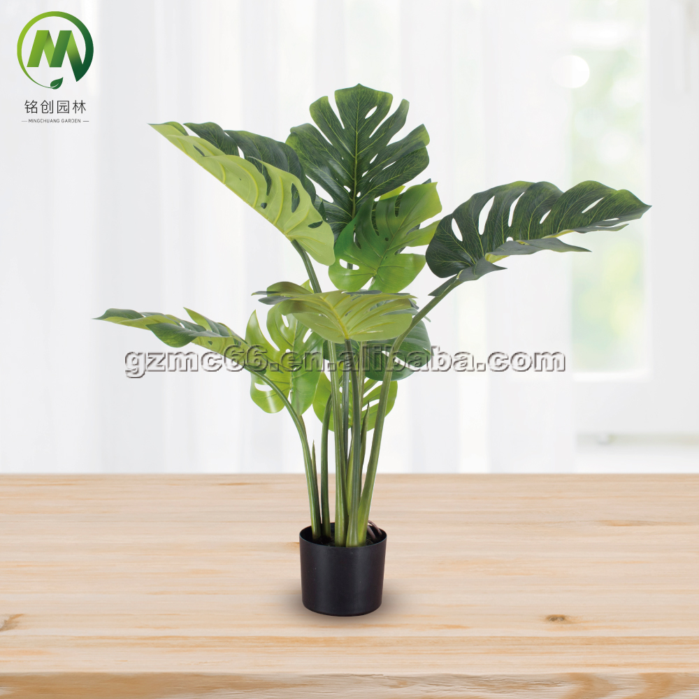 monsteria- 9 leaves- 90cm