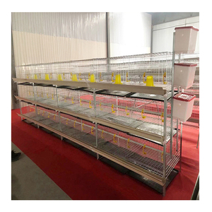 Cage à poules automatique <span class=keywords><strong>de</strong></span> type H, cage à volailles, cage à poules pondeuses, 3 niveaux, 2 portes, cage à poulets <span class=keywords><strong>de</strong></span> <span class=keywords><strong>chair</strong></span> pour 72 poulets - Product Image 2