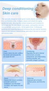 Equipo de Cuidado Facial con Hidro-Oxígeno 14 en 1, Precio de Fábrica 2025, Máquina de Belleza para el Cuidado de la Piel, Rejuvenecimiento Cutáneo, Spa de Belleza - Product Image 6