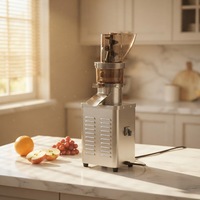 Kwaliteitsgegarandeerde commerciële citruspers voor citroenen, slow cold press, machine voor het extraheren van moerbeifruit sap