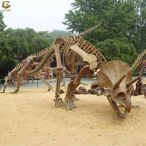 Cráneo de dinosaurio de tamaño real SGSK16, réplica de <span class=keywords><strong>Esqueleto</strong></span> de <span class=keywords><strong>Triceratops</strong></span> hecho a mano - Product Image 6